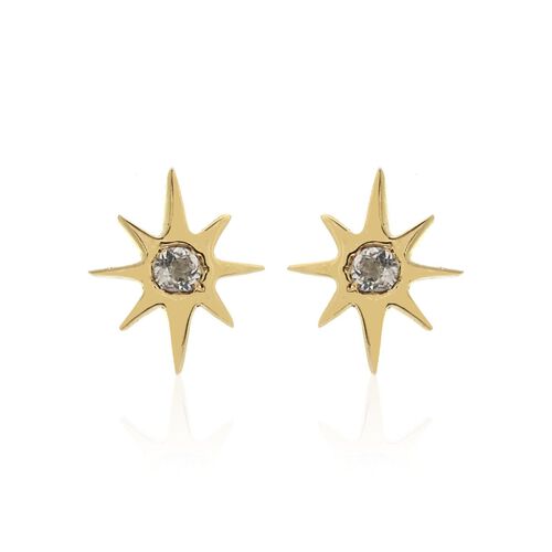 Silk & Steel Star Studs